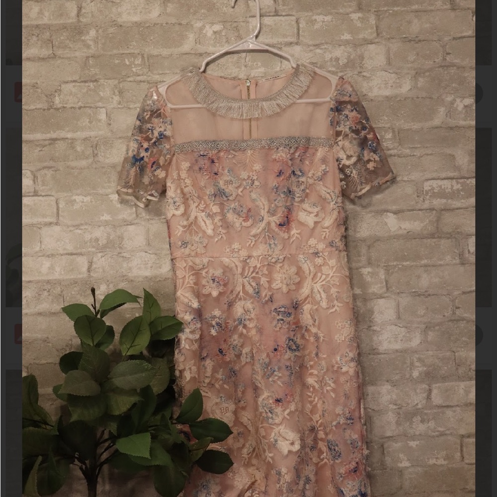 Floral Embroidered Dress